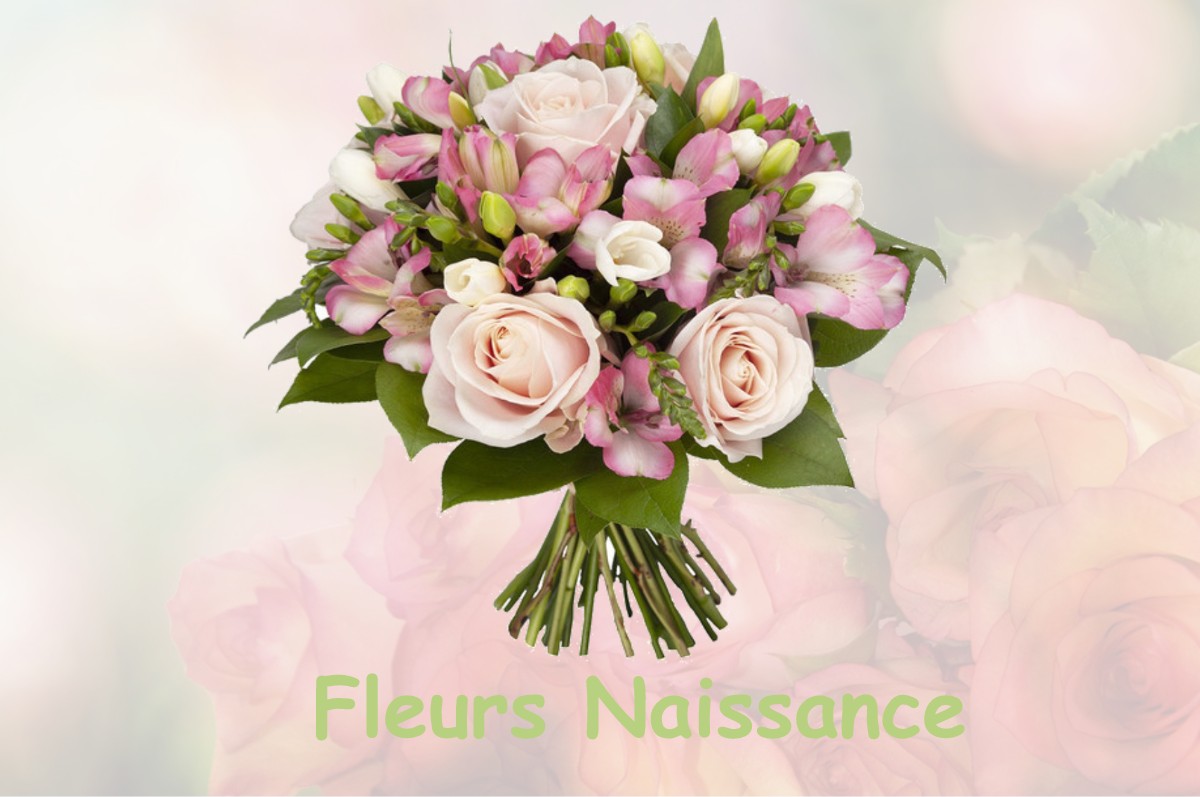 fleurs naissance CRISSAY-SUR-MANSE